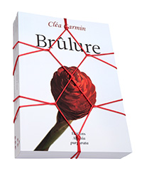 ©Pierre Jeanneret les trois romans liés par un fil rouge