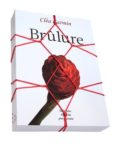 ©Pierre Jeanneret les trois romans liés par un fil rouge